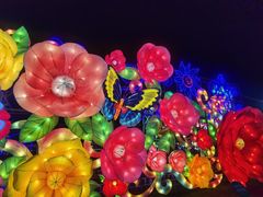 -第35届青岛国际啤酒节