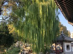 -莲池书院博物馆