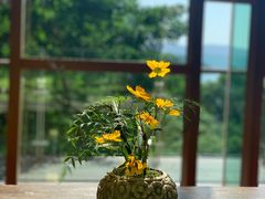 -逸廊大堂吧-下午茶·简餐-千岛湖自由洲际殿
