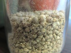 调料-巧云大馄饨(南阴阳营总店)