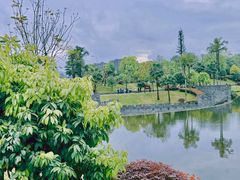 -枫香湖儿童公园