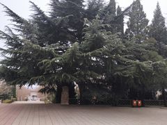 -白求恩柯棣华纪念馆