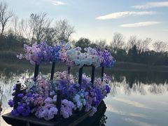 -溱湖国家湿地公园