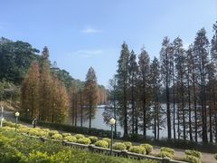 -三水森林公园