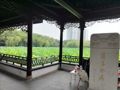 -高子水居