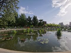 -莲花池公园