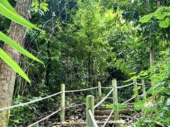 -武吉知马自然保护区