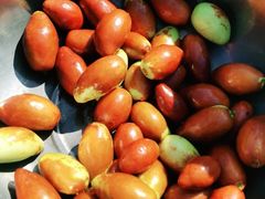 -韵之源农家菜(北京1店)