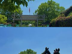 -红山森林动物园