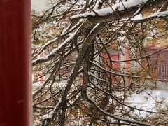 -沈阳市东陵公园