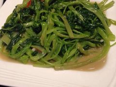 iphone_upload_pic-新兴·金羊座·粤菜点心(乐峰店)