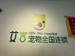 -艾吉宠物医院·疑难杂症转诊中心·猫友好(碧江路院)