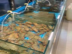 -渡海小渔村.老辈日照菜