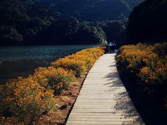 -广州市石门国家森林公园