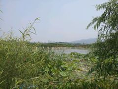 android_upload_pic-云龙湖旅游景区