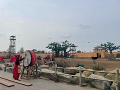 -中国马镇舞马世界主题乐园