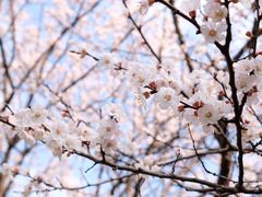 -苏州河梦清园环保主题公园