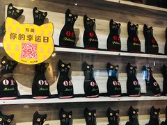 -猫咪博物馆(顶澳仔猫街店)