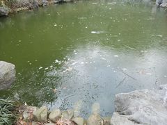 -杭州西湖风景名胜区-三生石
