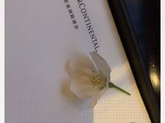 -无锡君来洲际酒店