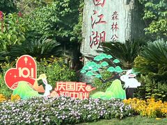 -广州白江湖森林公园