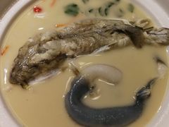 -肆月河豚·新淮扬(金融街店)