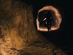 -上海佘山国家森林公园天马山园