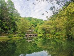-常德桃花源景区