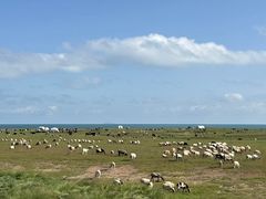 -青海湖国家重点风景名胜区