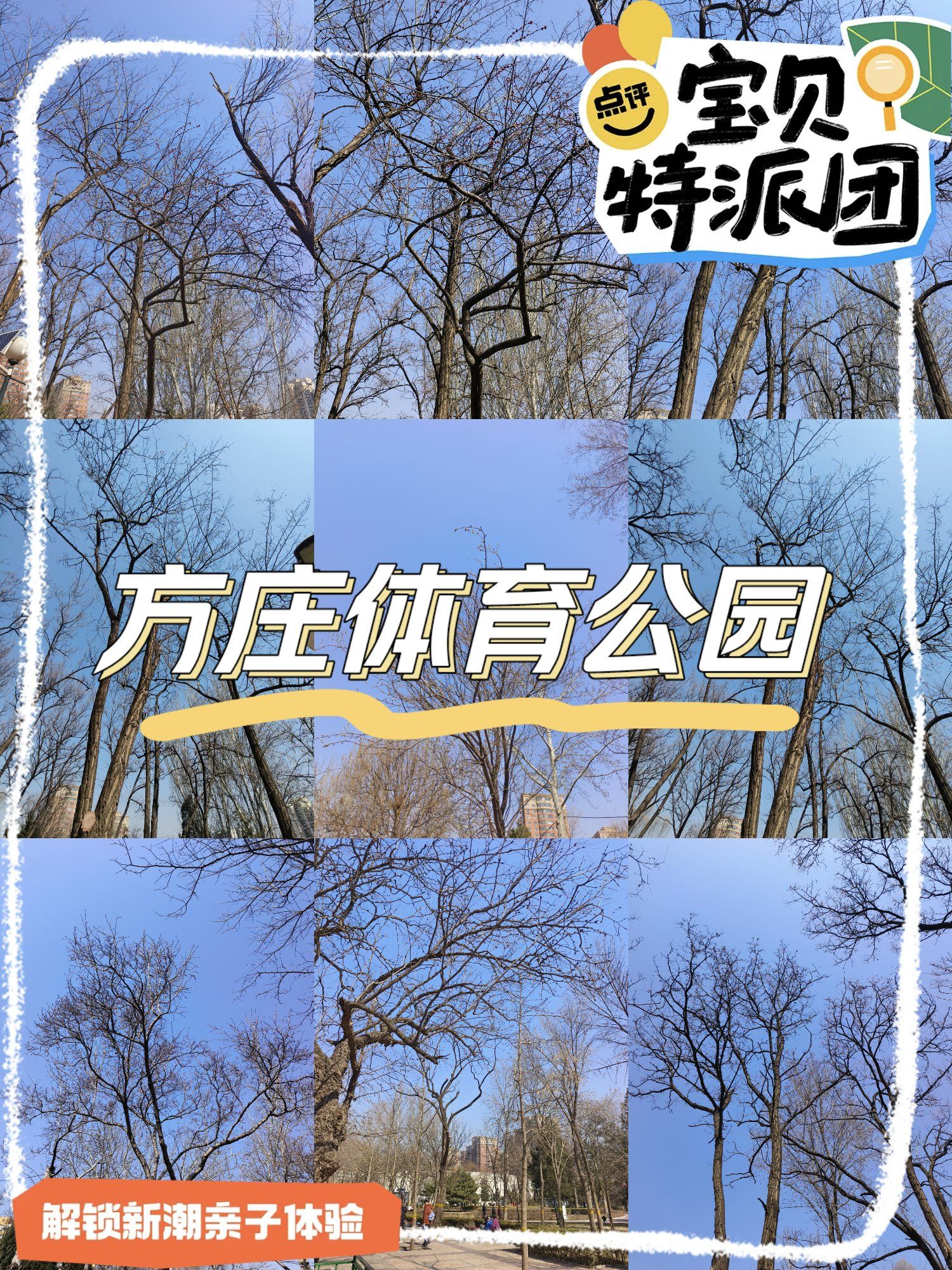 城市公园图鉴|解锁方庄体育公园959595