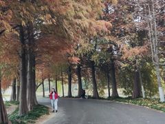 -石湖景区