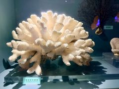 -天津自然博物馆