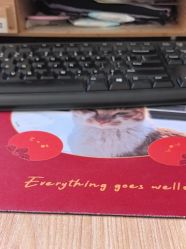 -吉姆叔叔亲子儿童摄影(青岛印象·山店)