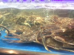 -盒马鲜生(大成店)