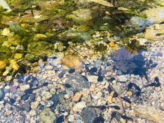 -碓臼峪自然风景区