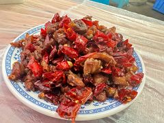 -食神又名厕所兔