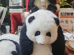 -轩客会(熊猫书店)