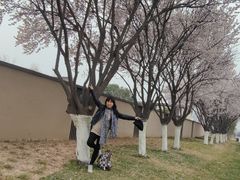 -汉长安城未央宫国家考古遗址公园