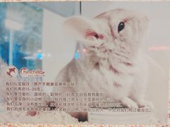 -龙猫仔乐园(惠福东路店)