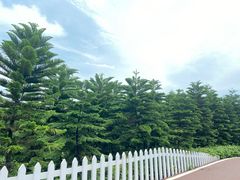 -迪茵湖田家舍生态农场