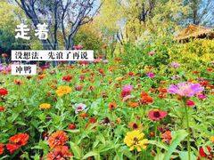 -北宫国家森林公园