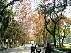 场地-华东理工大学·停车场