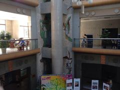 iphone_upload_pic-山东省图书馆