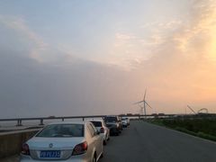 -南汇嘴观海公园