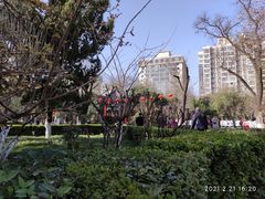 -莲湖公园
