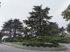 -青岛德国总督楼旧址博物馆
