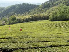 -敬亭山风景名胜区