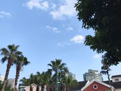 -海合安成都极地海洋公园