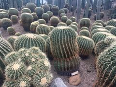 -南山植物园