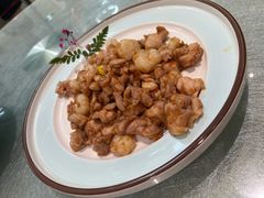 鸡里蹦-丁老爷子苏香圆